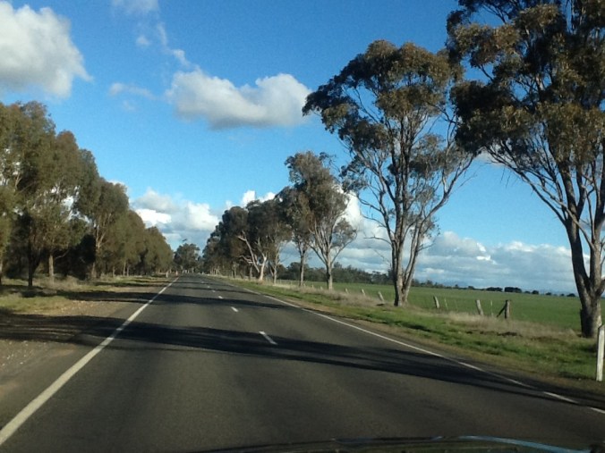 Farmland, grassland and gum trees.