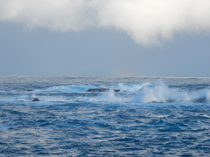 2015-07-18 17.11.28 Warrnambool Breakwater Blog