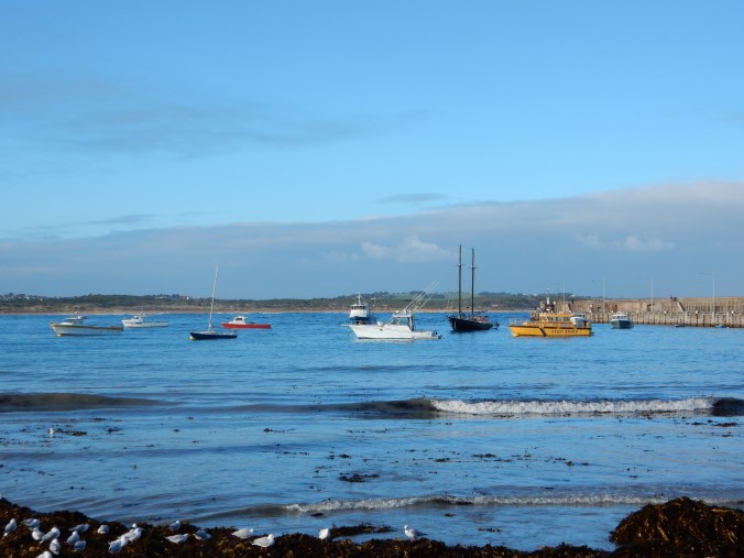 2015-07-18 16.29.33 Warrnambool Breakwater Blog