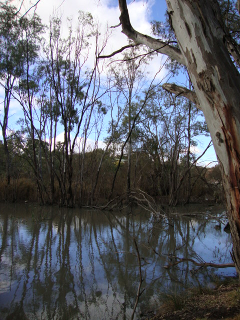 2012-07-13 13.47.29 Renmark