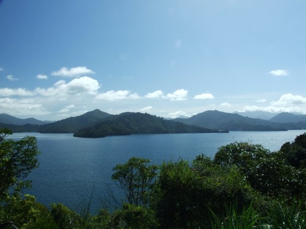 011 Marlborough Sounds, Picton