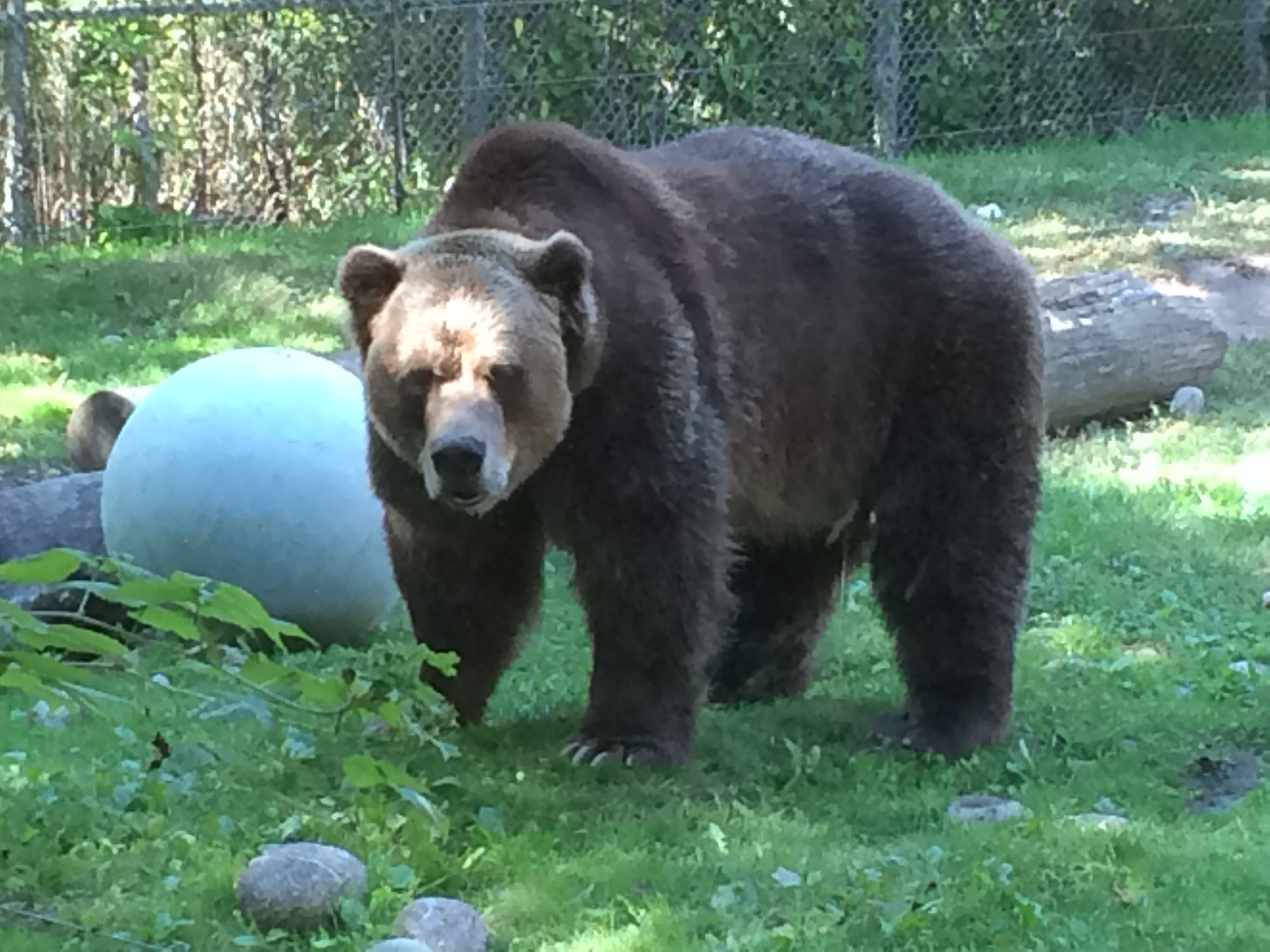 2015-09-24 14.55.40 Toronto Zoo