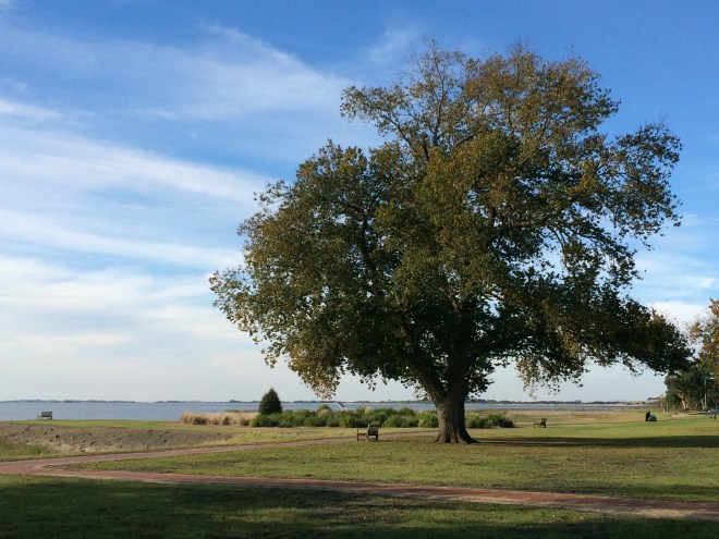 2015-04-13 15.45.17 Lake Colac