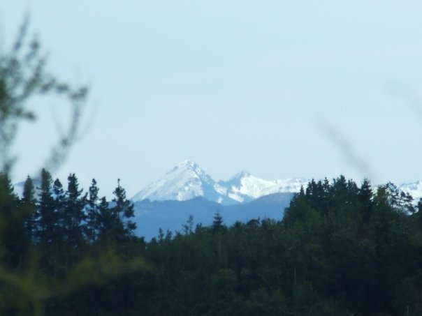 017 View from Spooner's Range Lookout.