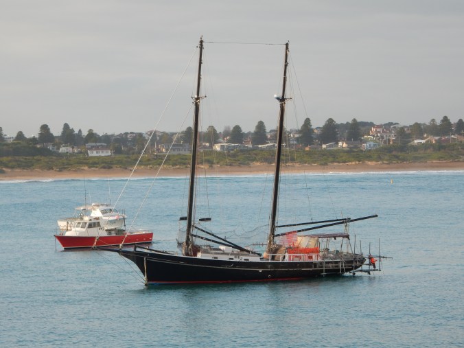 2015-07-18 17.20.05 Warrnambool Blog