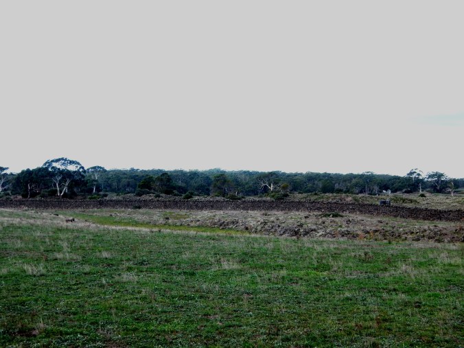 ???????????????????????????????